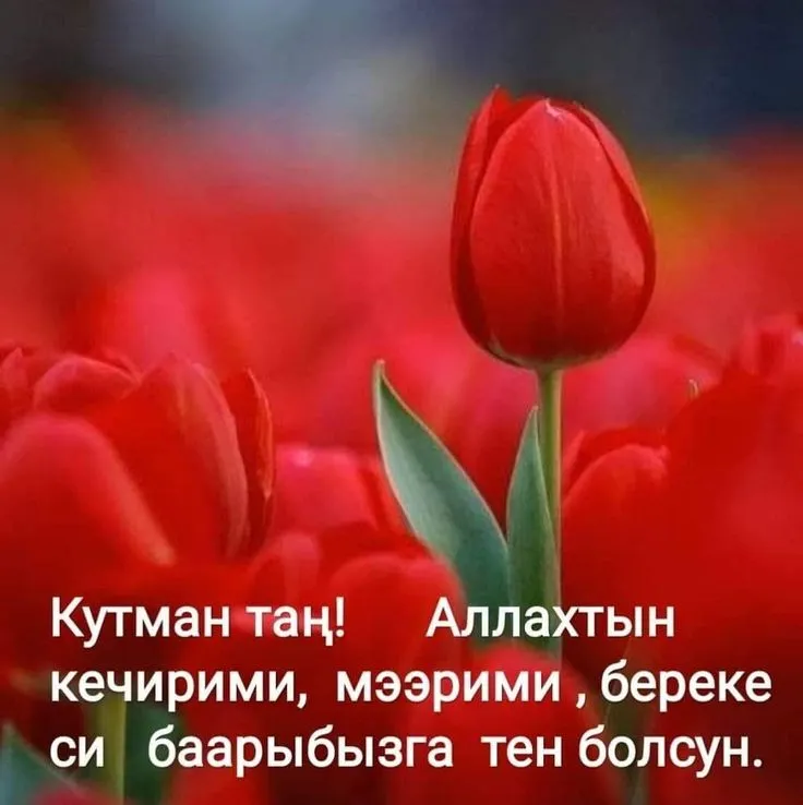 Кутман тан #ишинизге ийгилик,, | TikTok Кутман тан #ишинизге ийгилик,, | TikTok