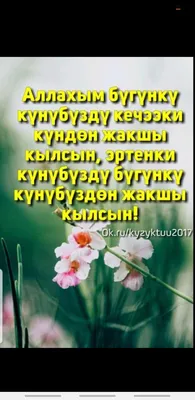 126 отметок «Нравится», 1 комментариев — АЙЫМДАР БАРАКЧАСЫ (@aiymdar.ledy)  в Instagram: «Кутман тан Асылзада Айымдар ❤️ Уйдон кочого чыгып бараткан  болсонор ушу…