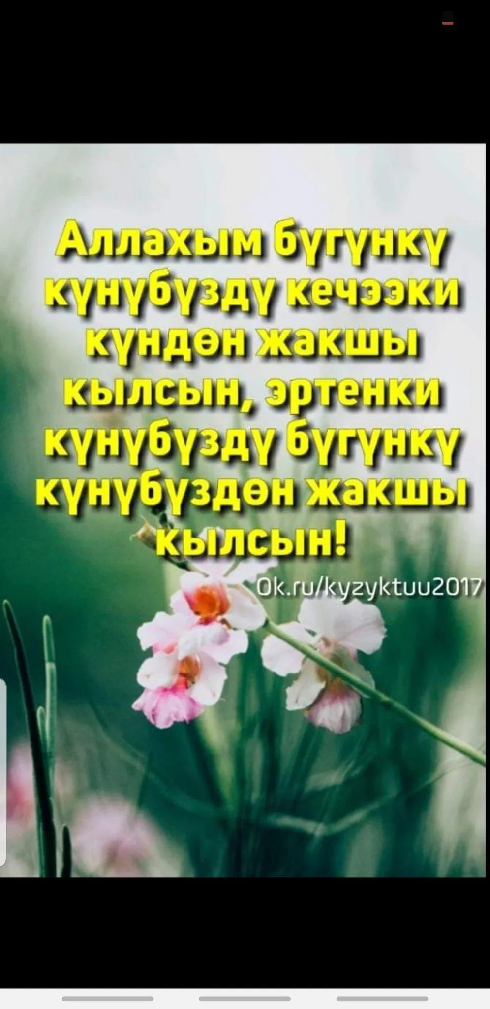126 отметок «Нравится», 1 комментариев — АЙЫМДАР БАРАКЧАСЫ (@aiymdar.ledy) в Instagram: «Кутман тан Асылзада Айымдар ❤️ Уйдон кочого чыгып бараткан болсонор ушу… 126 отметок «Нравится», 1 комментариев — АЙЫМДАР БАРАКЧАСЫ (@aiymdar.ledy) в Instagram: «Кутман тан Асылзада Айымдар ❤️ Уйдон кочого чыгып бараткан болсонор ушу…
