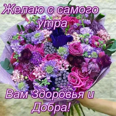 Бугунку кунду татыктуу жашаныз!!! Кутман тан!! @krysha.bishkek_312 |  Instagram