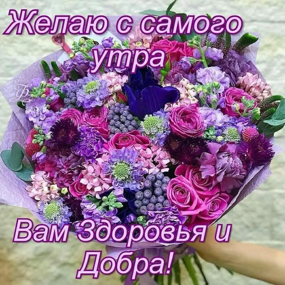 Бугунку кунду татыктуу жашаныз!!! Кутман тан!! @krysha.bishkek_312 | Instagram Бугунку кунду татыктуу жашаныз!!! Кутман тан!! @krysha.bishkek_312 | Instagram