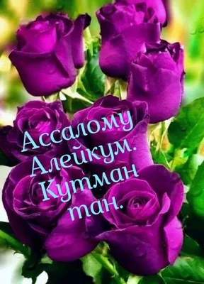 КУТМАН ТАН - YouTube