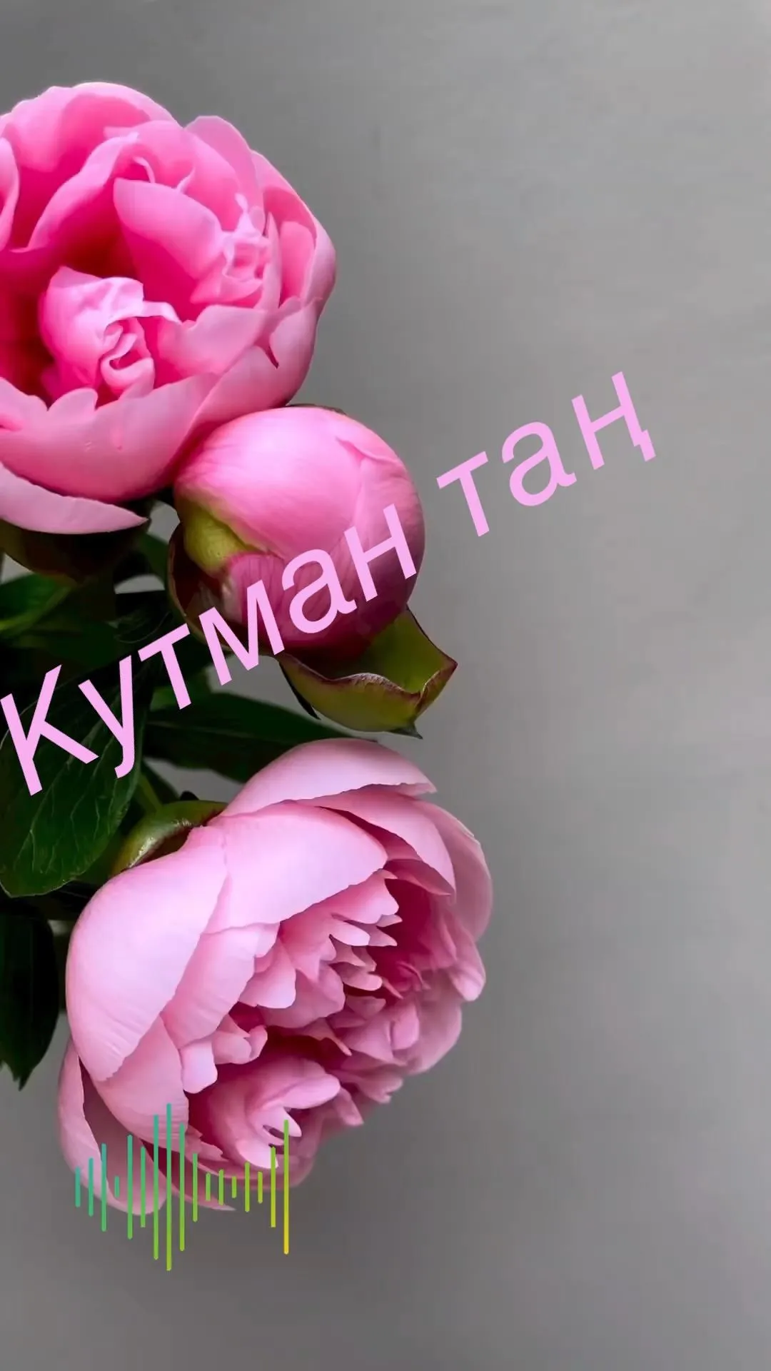 https://kartinki.pibig.info/61870-kutman-tan-kartinki.html https://kartinki.pibig.info/61870-kutman-tan-kartinki.html
