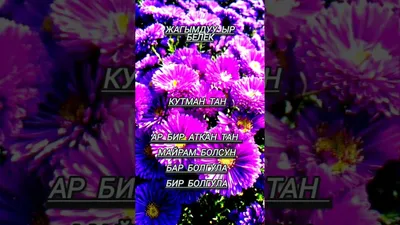 Кутман таң | Plants, Best, Garden