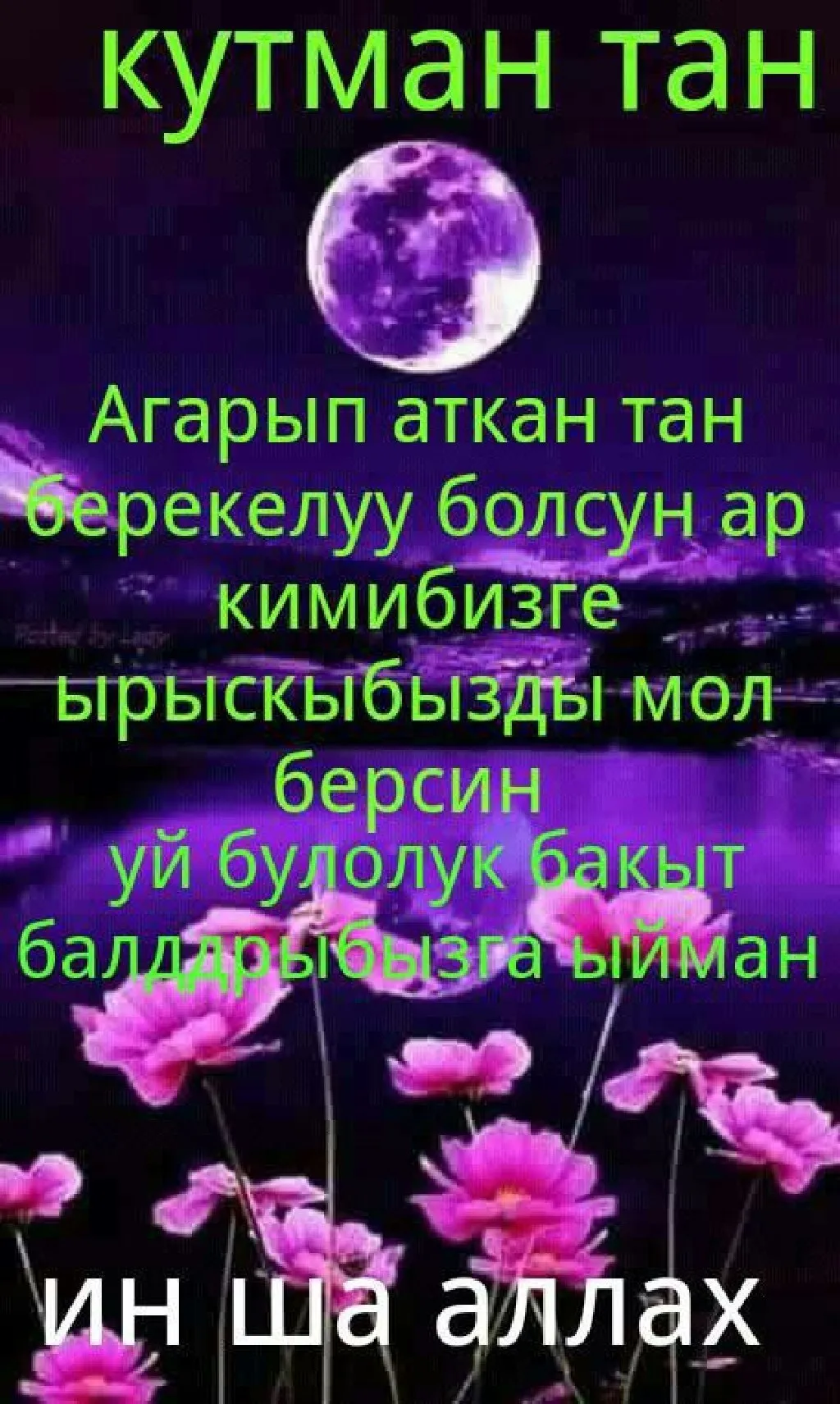 Доброе утро всем! Кутман тан! - Комнатные цветы Бишкек | Facebook Доброе утро всем! Кутман тан! - Комнатные цветы Бишкек | Facebook
