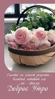 Фото 893409333642 из альбома кутман тан,кутман кун, кутман кеч,бейпил тун..  Смотрите в группе 💖❤Жан биргем❤💖 в ОК