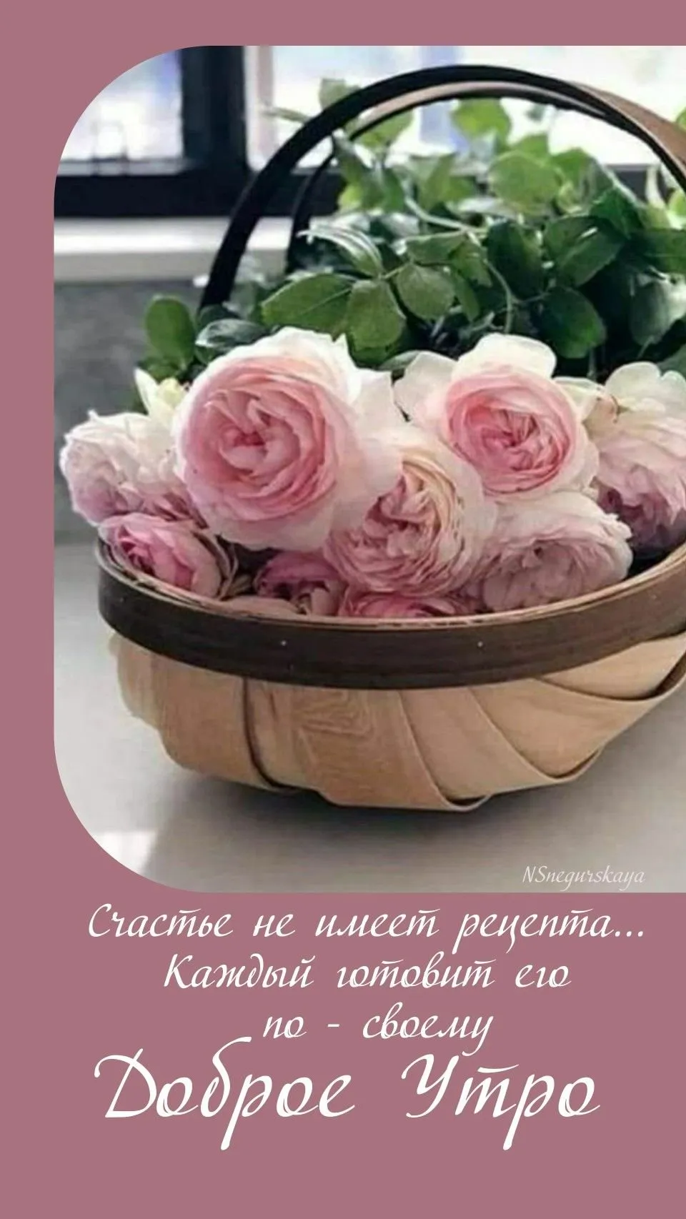 Фото 893409333642 из альбома кутман тан,кутман кун, кутман кеч,бейпил тун.. Смотрите в группе 💖❤Жан биргем❤💖 в ОК Фото 893409333642 из альбома кутман тан,кутман кун, кутман кеч,бейпил тун.. Смотрите в группе 💖❤Жан биргем❤💖 в ОК