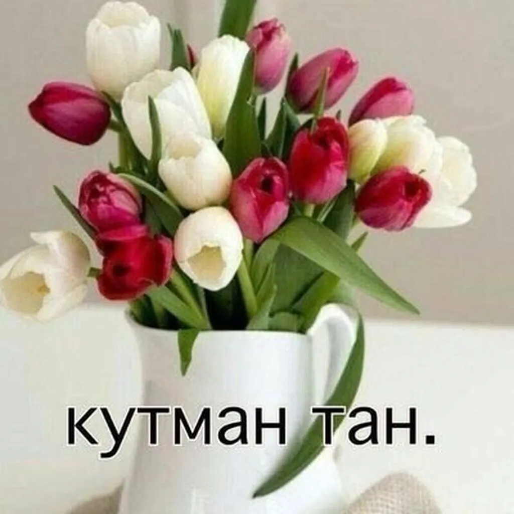 Продаю участок с недостроенным домом в районе Ак-Ордо 2 с красной книгой. Конечная 139 марш.цена 21000$.0705404142 Продаю участок с недостроенным домом в районе Ак-Ордо 2 с красной книгой. Конечная 139 марш.цена 21000$.0705404142
