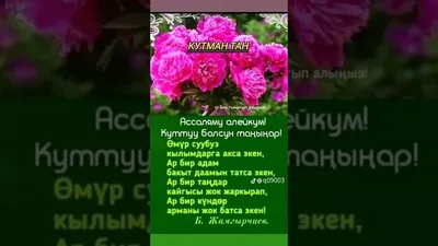 a72cf818faa430da368f4691185bfc88.jpg