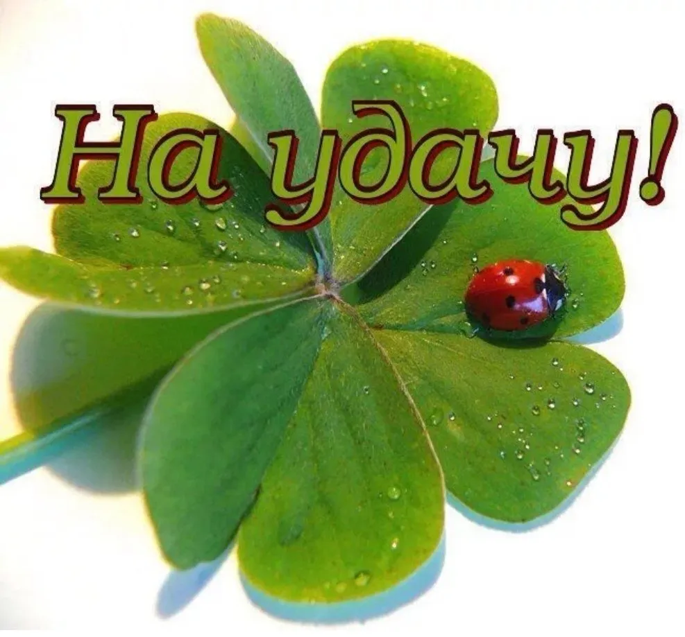 Кутман таң Кутман таң