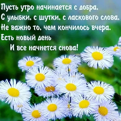 Isabek Maksutov on X: \"Кутман тан https://t.co/Aa9UUCqWLU\" / X