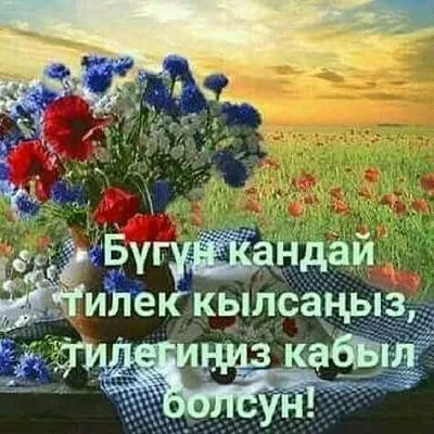 Bema Aseeva on X: \"Бишкектеги кутман тан! 7:30. http://t.co/oEUkkyRWTd\" / X