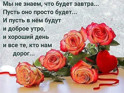 Академии 10 лет! - Академия гражданского просвещения