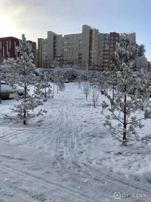 В Омске ввели в эксплуатацию новый 24-этажный дом в микрорайоне Кузьминки |  12 канал