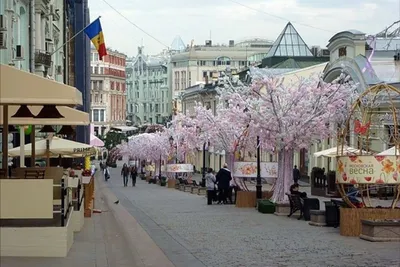 Кузнецкий мост - пешеходная улица Москвы, достопримечательности