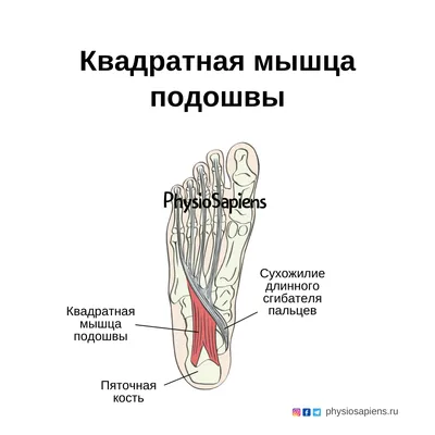 Тарелка десертная, керамика, 18 см, квадратная, Кембридж, Daniks, Y4-3245 в  Москве: цены, фото, отзывы - купить в интернет-магазине Порядок.ру