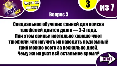 Квизы в Москве: Ё-квиз – самый оранжевый квиз