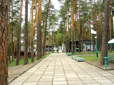 Пенза-Онлайн — С инспекцией в загородные детско-оздоровительные лагеря:  «Заря» vs «Белка». Фоторепортаж. Елена Альшина