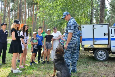 Все по плану: калужские загородные лагеря проверяют перед стартом летней  кампании | 22.05.2023 | Новости Калуги - БезФормата