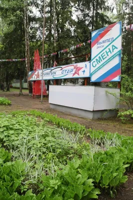 В Калуге заработали детские лагеря | 01.06.2022 | Новости Калуги -  БезФормата