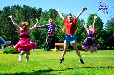 ДОЛ \"Звездный\" в Луге, лагерь для детей 6-15 лет от ГУП \"Водоканал  Санкт-Петербурга\" | KidsReview.ru