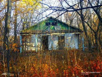 Березки - лагерь в г. Оренбург, Оренбургская область. Оздоровительный лагерь  для детей 4 - 15 лет