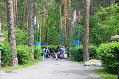 Тематические лагеря в Воронежской области 2024 – Путевки, цены, рейтинг,  отзывы