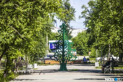 В Новосибирской области стартовали весенние заезды в детские лагеря |  23.03.2023 | Новосибирск - БезФормата