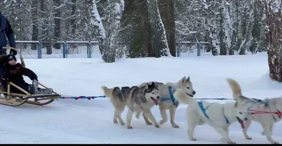 Кристалл, представительство в городе, ТЦ Ультра, проспект Ленина, 10,  Барнаул — 2ГИС