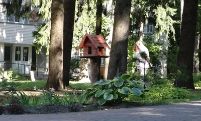 Детский оздоровительный лагерь \"Кристалл\"