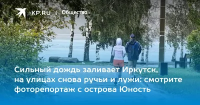 Иркутянин устроил велопутешествие по Бурятии в поддержку иркутского  котокафе «Время котов» - 24 августа 2023 - ircity.ru