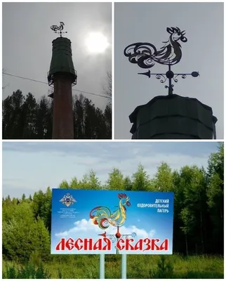 Recreation children's camp for children 6-16 years old, г. Кстово,  Нижегородская обл., Russia children's camp