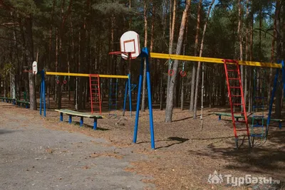 СОК Олимпиец – оздоровительный лагерь, Курск. Путевки в детский лагерь на  2024 год