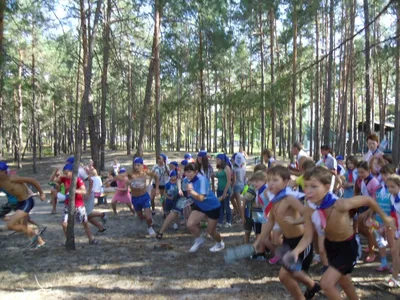 СОК Олимпиец – оздоровительный лагерь, Курск. Путевки в детский лагерь на  2024 год