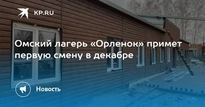 Экс-директор детского лагеря «Орленок» Бородин попытался избежать  возмещения ущерба, причиненного в результате мошенничества