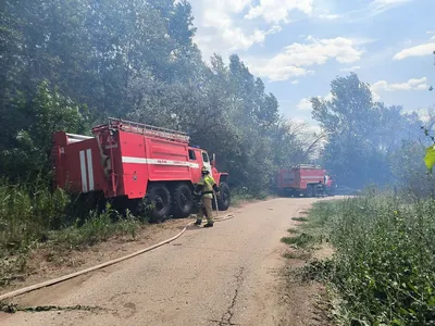 В детском лагере Орленок прошел День безопасности - Новости - Главное  управление МЧС России по Волгоградской области