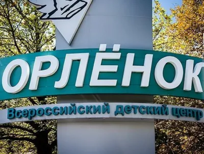 В детском лагере «Орленок» вспышка неизвестной инфекции. Родителей просят  забрать детей домой - 31 июля 2021 - v1.ru