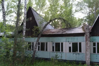 В Новосибирской области две девочки пропали из лагеря - РИА Новости,  03.07.2023