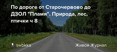 Космос, база, дом отдыха, Школьная ул., 39, село Верхотомское — Яндекс Карты