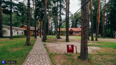 Еще один детский лагерь в Томской области станет круглогодичным |  04.08.2022 | Томск - БезФормата