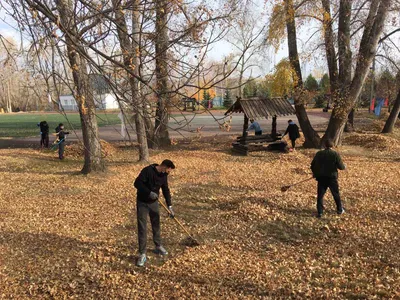 Самородово – оздоровительный лагерь, Оренбургская обл., Оренбург. Путевки в  детский лагерь на 2024 год