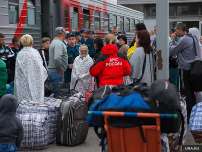 Перекрыто движение: под Тюменью полыхает лес — РБК