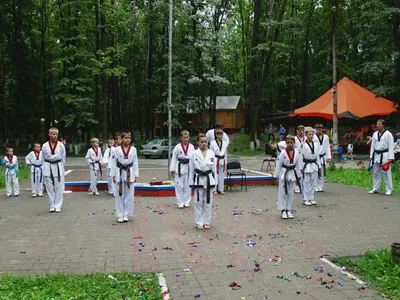 Сокол – оздоровительный лагерь, Белгород. Путевки в детский лагерь на 2024  год