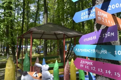Лагеря в Белгороде 2024 для подростков – Путевки, цены, рейтинг, отзывы