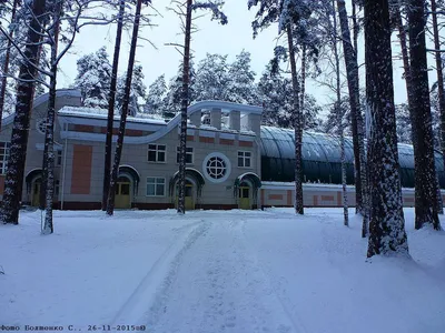 Созвездие Юниор, детский лагерь, Моховая 2-я, 31а, Новосибирск — 2ГИС