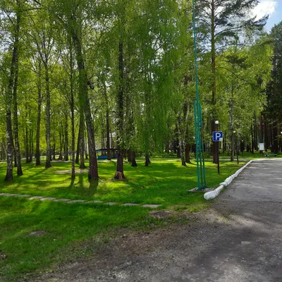 Базы отдыха Томска — снять домики по низким ценам 2024 года