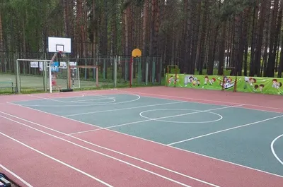 Детские лагеря в Томске 2024 – Путевки, цены, рейтинг, отзывы