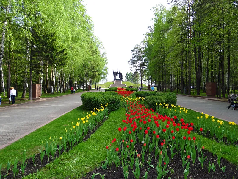 Лагерный сад в Томске - фото, отзывы 2024, рейтинг, телефон и адрес Лагерный сад в Томске - фото, отзывы 2024, рейтинг, телефон и адрес