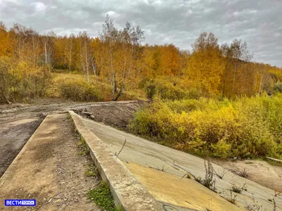 Память в сердцах людей: как проходит 9 Мая в Томске в 2023 году - vtomske.ru