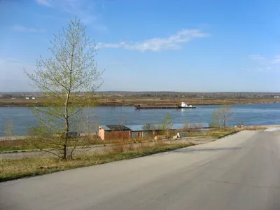 Томичей просят не посещать Лагерный сад — TOMSK.RU